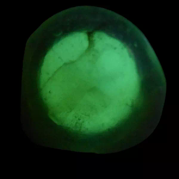 bague phosphorescente Ankh